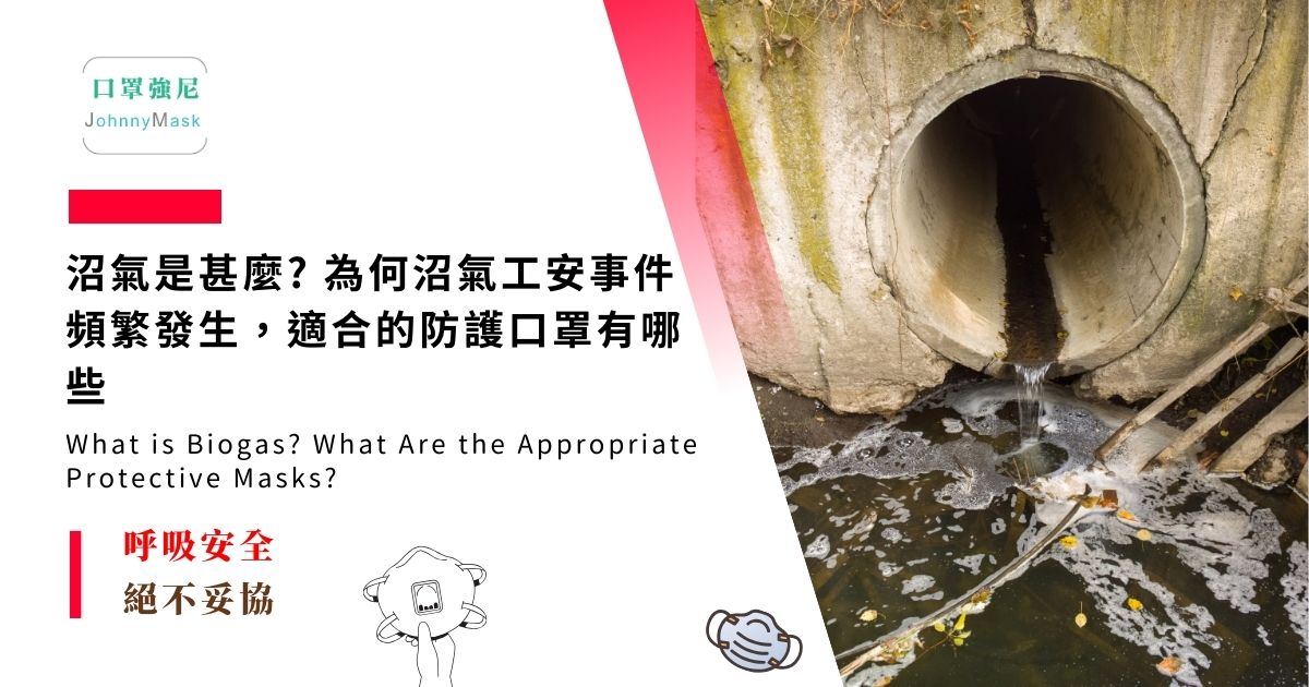 沼氣是甚麼